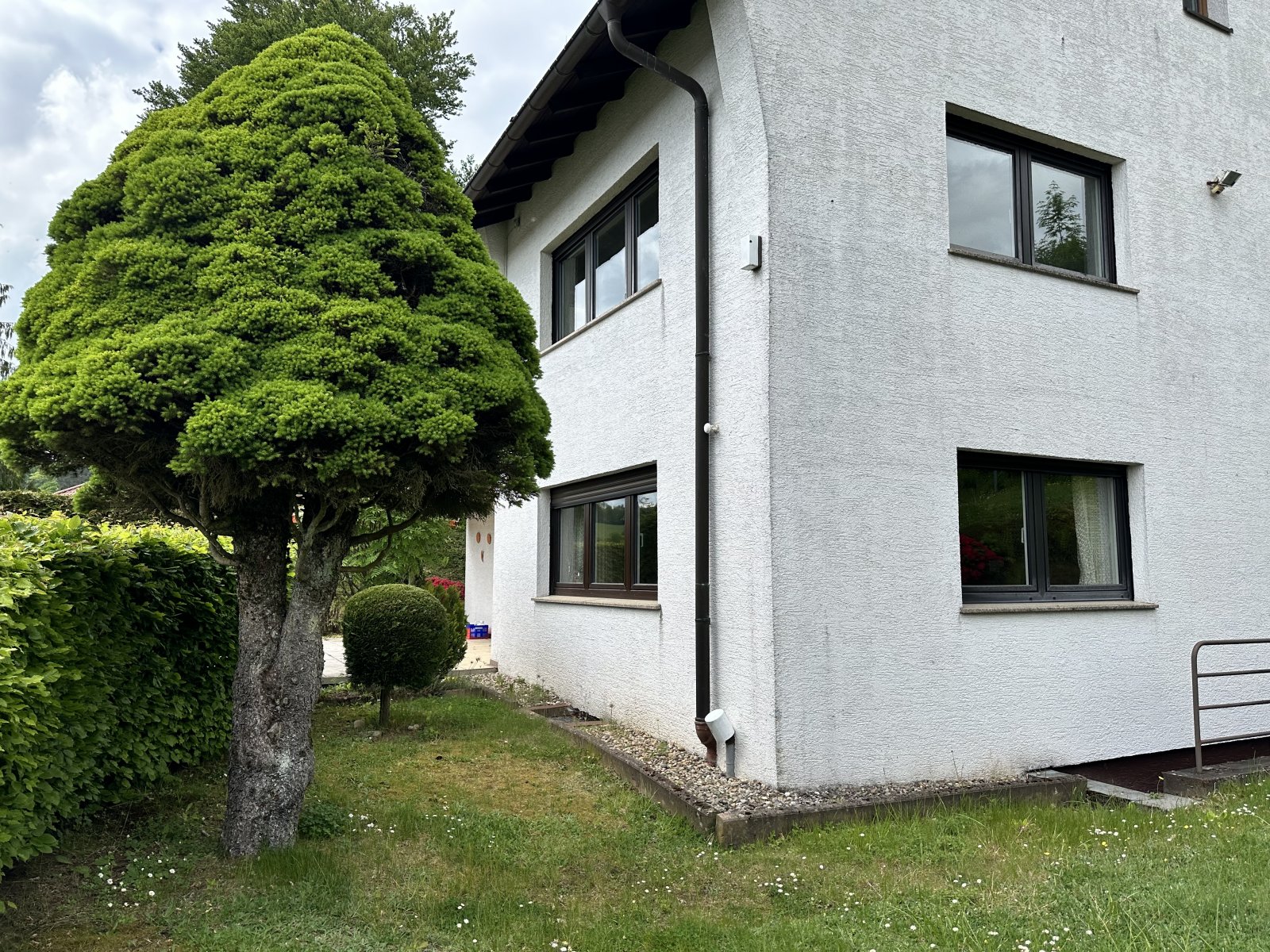 Ruhige Lage, viel Platz und herrliche Aussicht – Ihr neues Zuhause in Wald-Michelbach