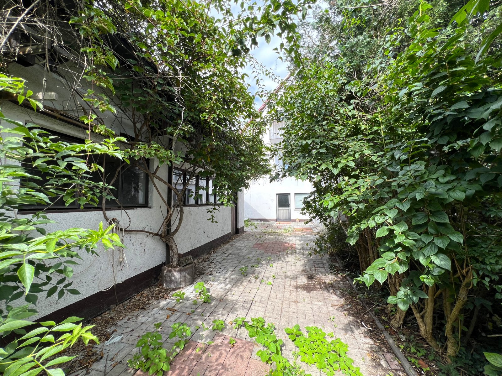 Projekt für Macher – Haus, Hof &amp; Garten warten auf frischen Wind