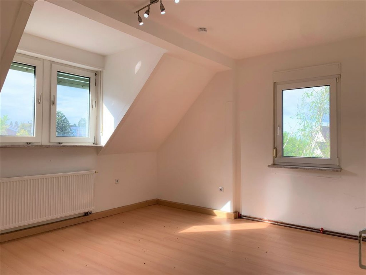 DG Zimmer DG Zimmer