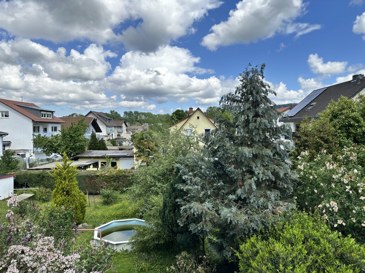 mit Weitblick mit Weitblick