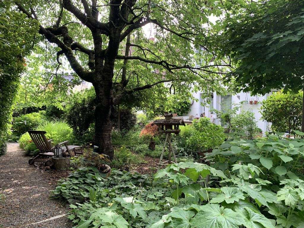 Schöner Garten Schöner Garten