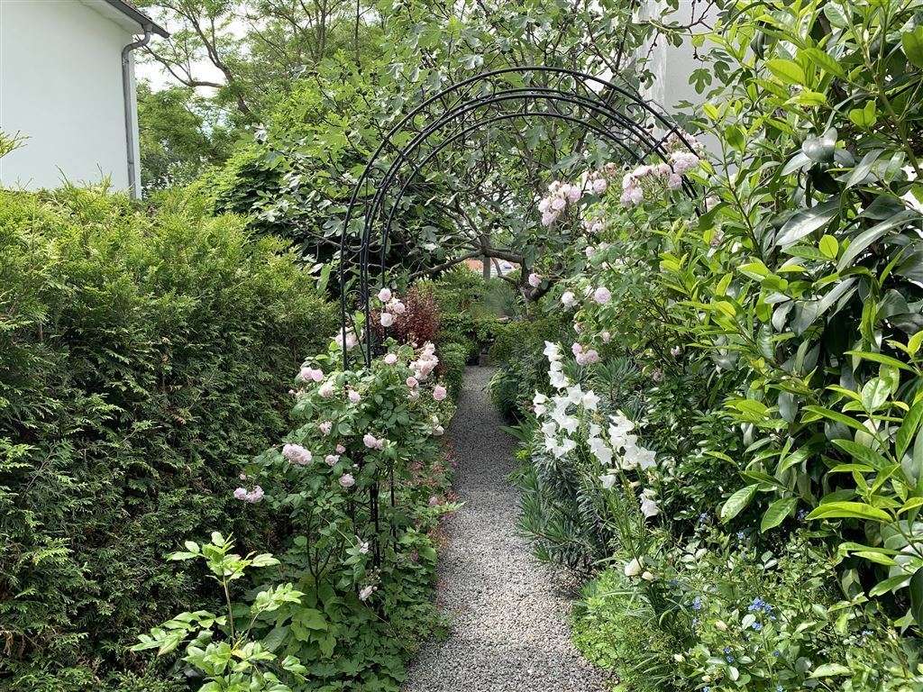 Seitenansicht Garten Seitenansicht Garten