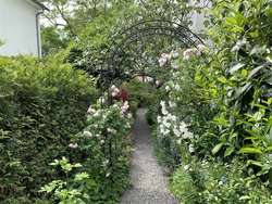 Seitenansicht Garten Seitenansicht Garten