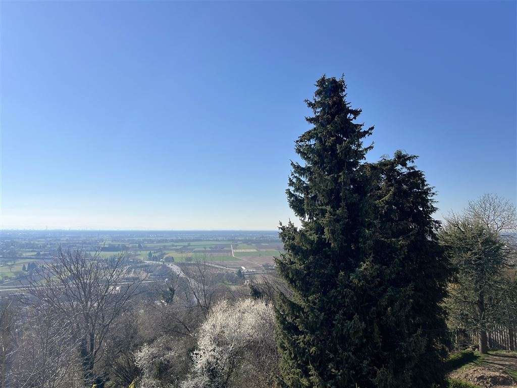 Ausblick Ausblick