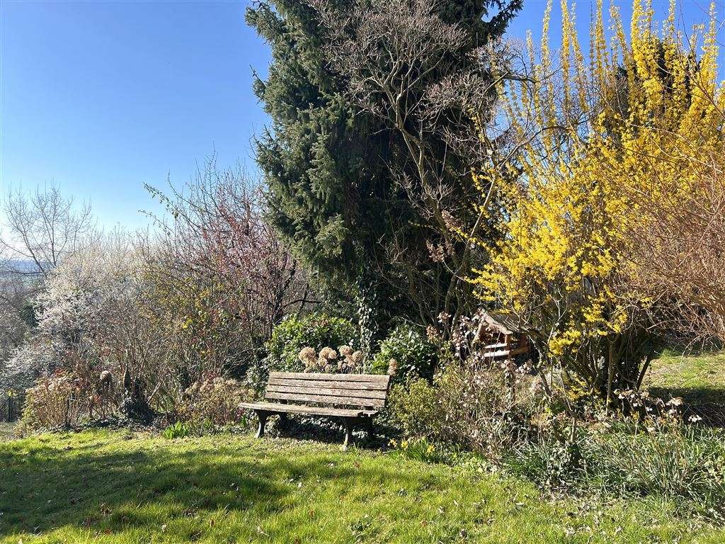 Garten Garten