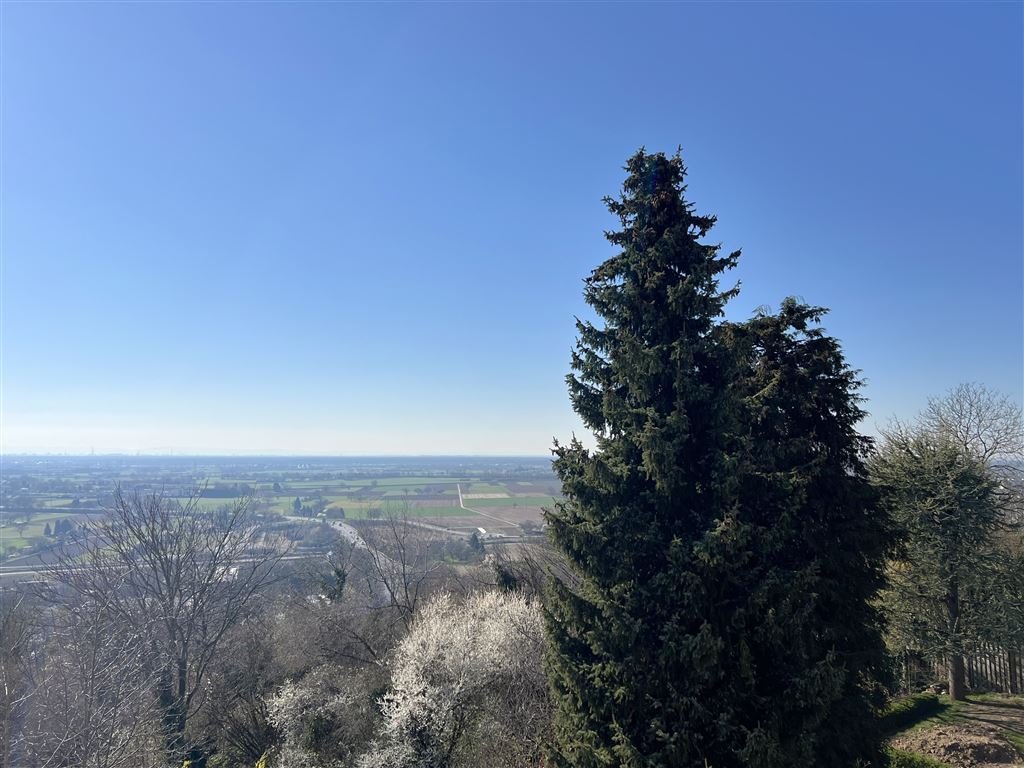 Ausblick Ausblick