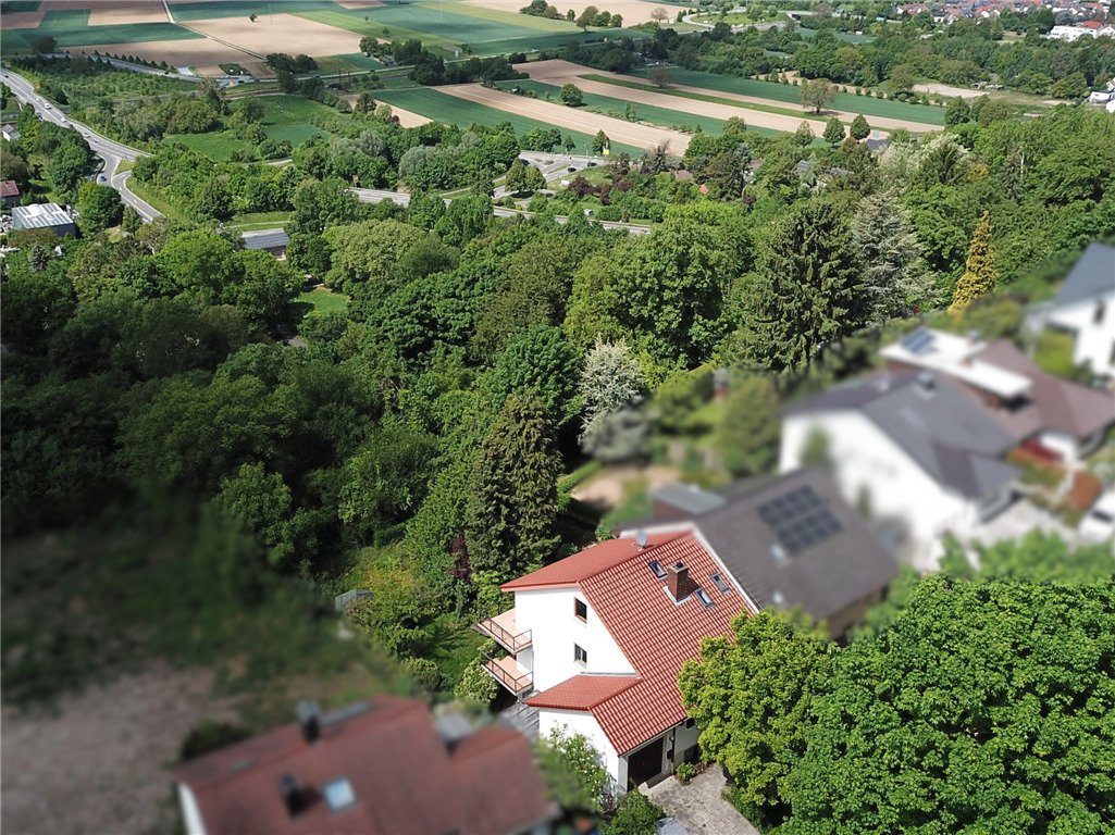 Weitblick Weitblick