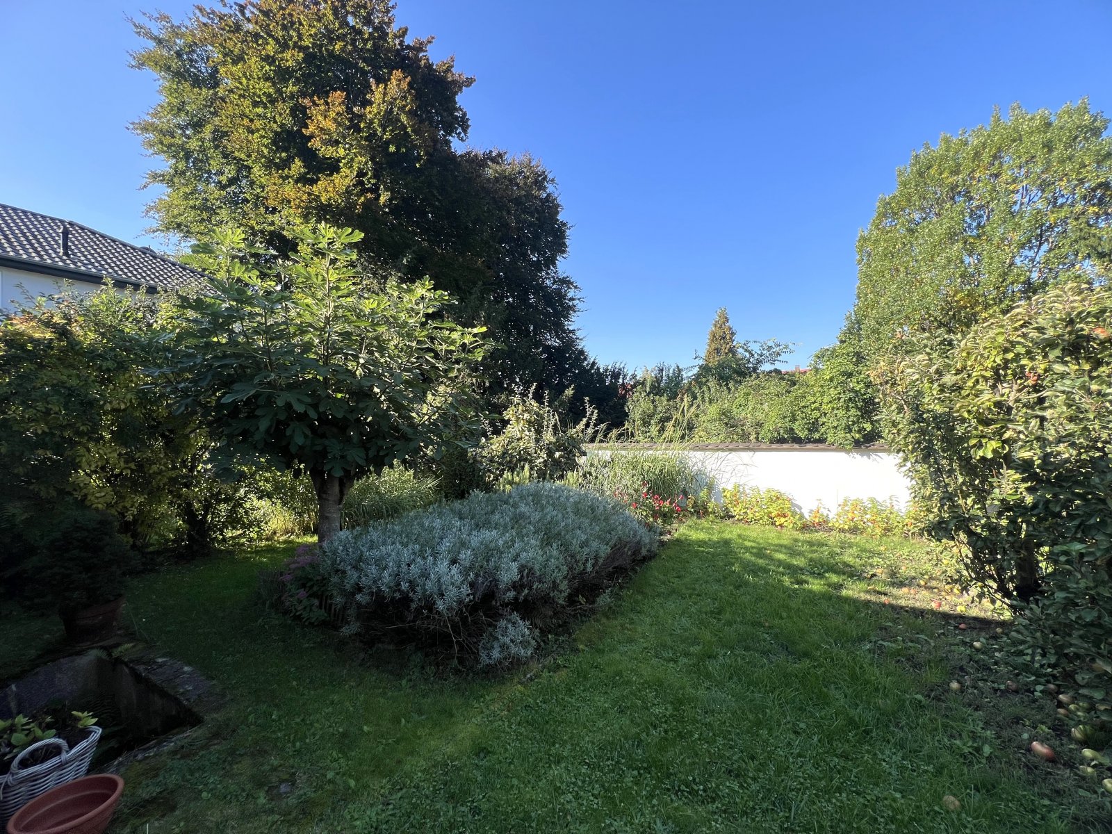 Garten nach Hinten Garten nach Hinten